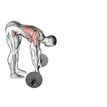 barbell standing ab rollerout