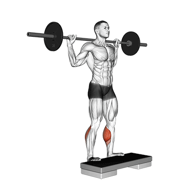 barbell standing leg calf raise