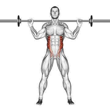 barbell standing twist