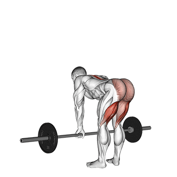 barbell straight leg deadlift