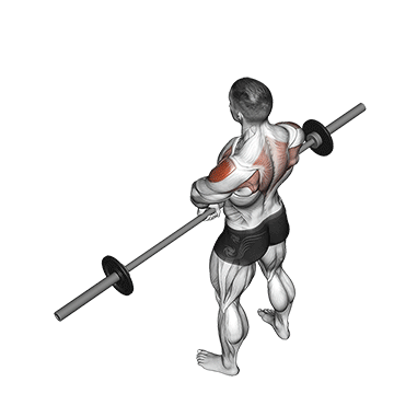barbell upright row v. 2