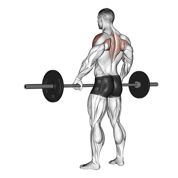 barbell wide-grip upright row