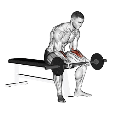 barbell wrist curl v. 2