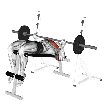 barbell reverse grip decline bench press