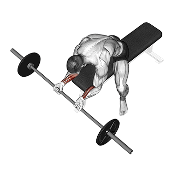 barbell wrist curl