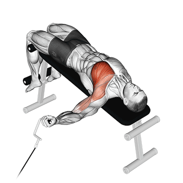 cable one arm decline chest fly