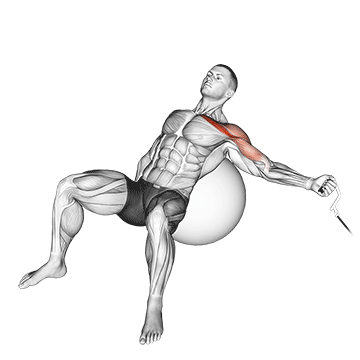 cable one arm incline fly on exercise ball