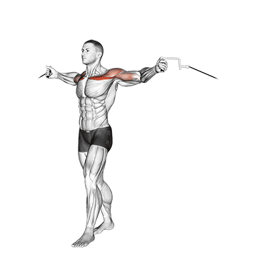 cable upper chest crossovers