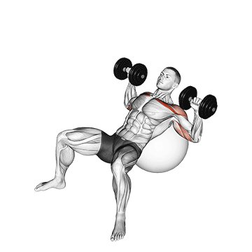 dumbbell incline press on exercise ball