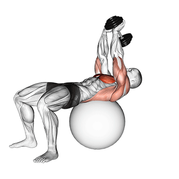 dumbbell lying pullover on exercise ball