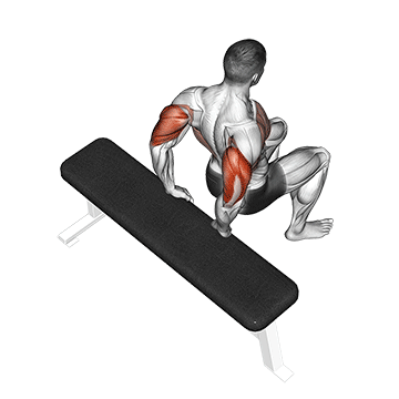 bench dip (knees bent)