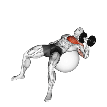dumbbell one arm press on exercise ball