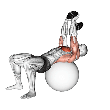 dumbbell pullover on exercise ball