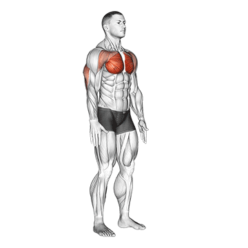 isometric chest squeeze