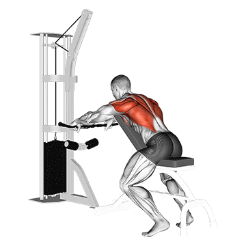 cable incline bench row