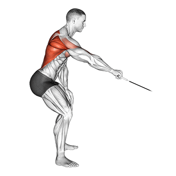 cable palm rotational row