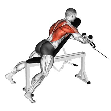 cable rope extension incline bench row