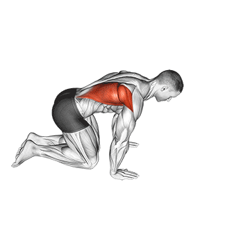 kneeling lat stretch