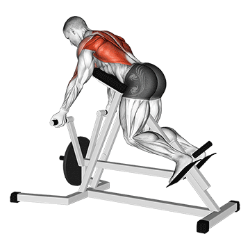 lever reverse t-bar row