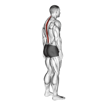 standing pelvic tilt