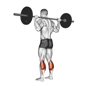 barbell floor calf raise