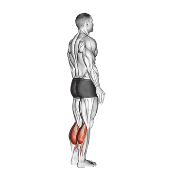 bodyweight standing calf raise