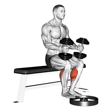 dumbbell seated calf raise