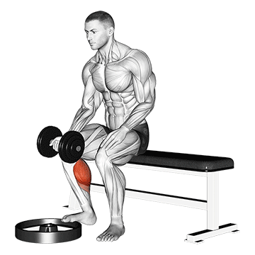 dumbbell seated one leg calf raise - palm up