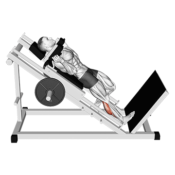 hack one leg calf raise