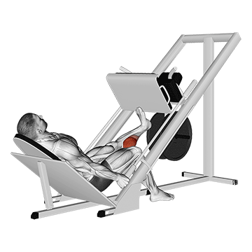 sled one leg calf press on leg press