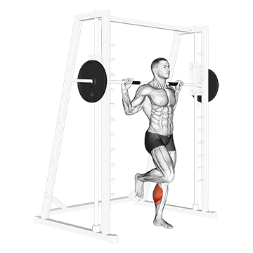 smith one leg floor calf raise