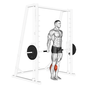 smith reverse calf raises