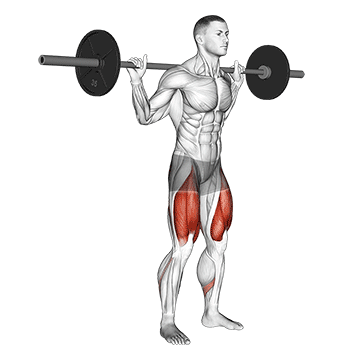 barbell low bar squat