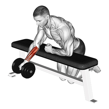 dumbbell over bench one arm reverse wrist curl