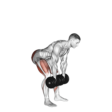 dumbbell romanian deadlift