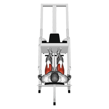 sled 45в° leg press (back pov)