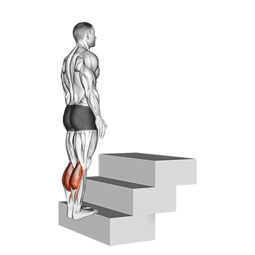 standing calf raise (on a staircase)