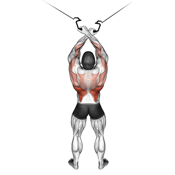 cable cross-over lateral pulldown