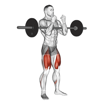 barbell full zercher squat