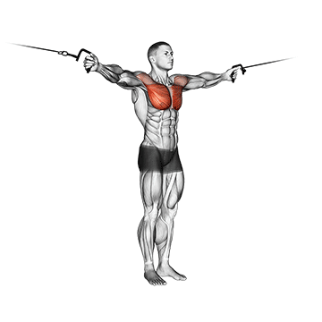 cable cross-over variation