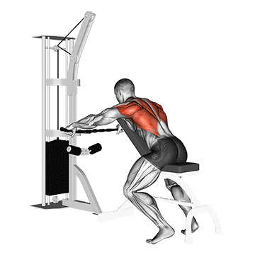 cable decline seated wide-grip row
