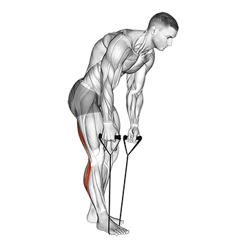 standing hamstring and calf stretch with strap