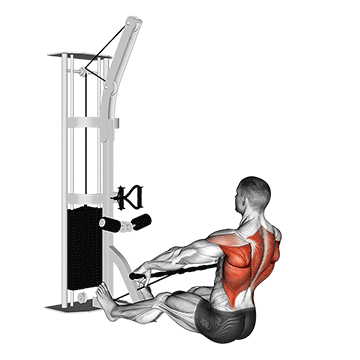 cable floor seated wide-grip row