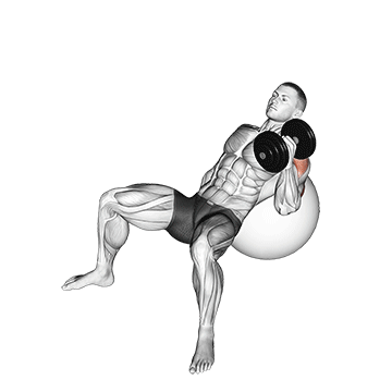 dumbbell incline one arm hammer press on exercise ball