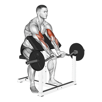 ez barbell close grip preacher curl