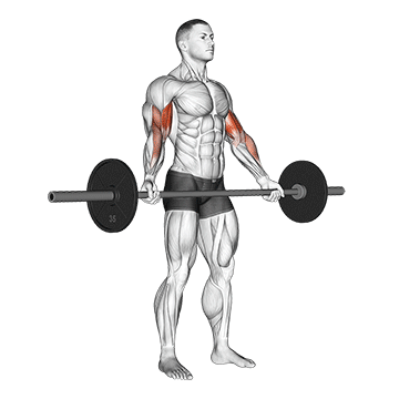 barbell standing wide grip biceps curl
