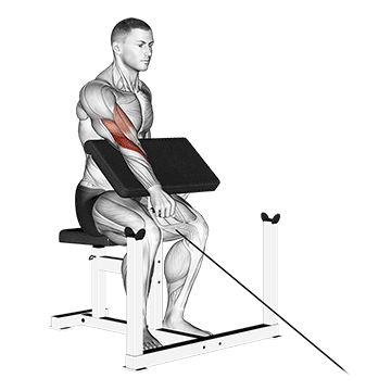 cable one arm reverse preacher curl