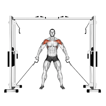 cable front shoulder raise