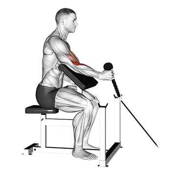 cable rope one arm hammer preacher curl