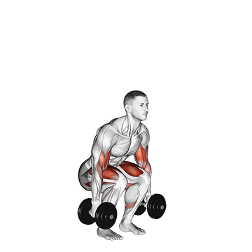 dumbbell biceps curl squat